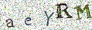 Obr&aacute;zkov&aacute; CAPTCHA